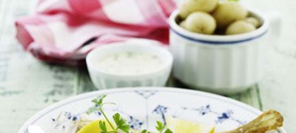 Stegt rødspætte med nye kartofler og persillesauce
