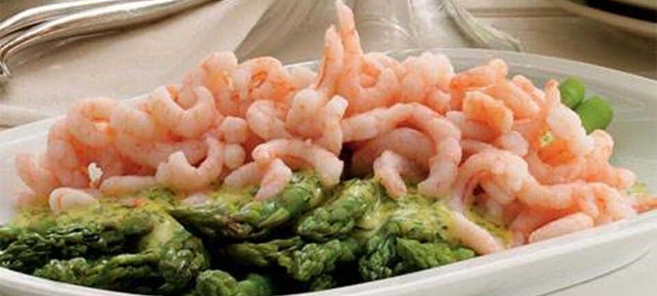 Asparges og rejer med mayonnaise