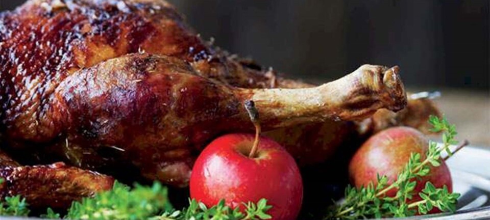 Stegt and med tørrede abrikoser og appelsin