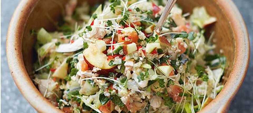 Postfitness supersalat