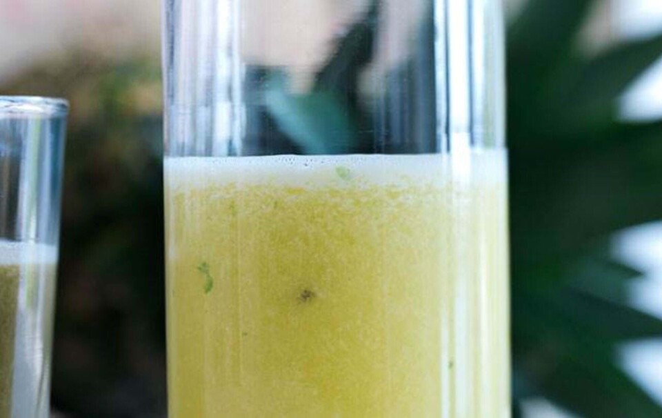 sund juice opskrift