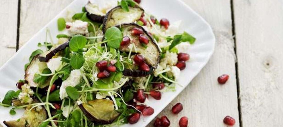 Sprød brøndkarse med bagte auberginer, granatæble, quinoa og gedefeta