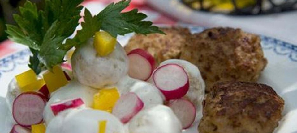 Frikadeller med kartoffelsalat