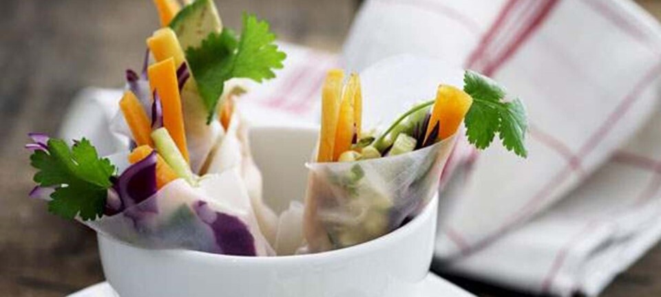 Friske forårsruller med rød og hvidkål