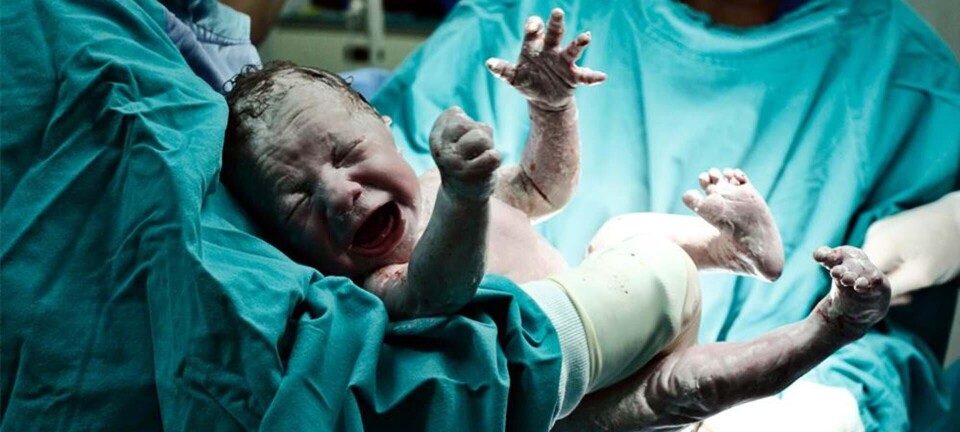 Min fødsel: 'Jeg bemærkede slet ikke, at de pludselig var i gang'