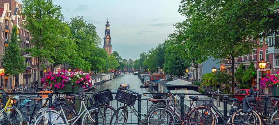 Hippe kaffebarer og gode loppemarkeder: Det skal du opleve i skønne Amsterdam