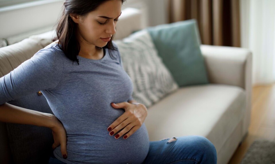 Gravid uge 26