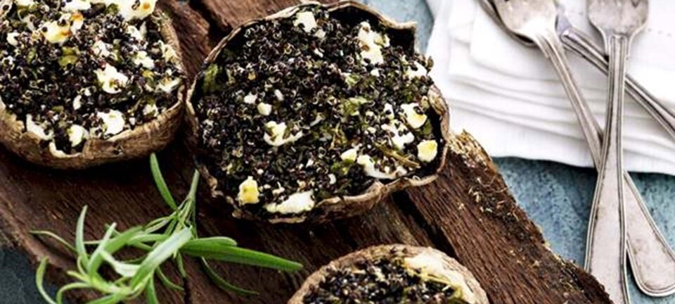 Portobellosvampe med quinoa, basilikum og gedefeta