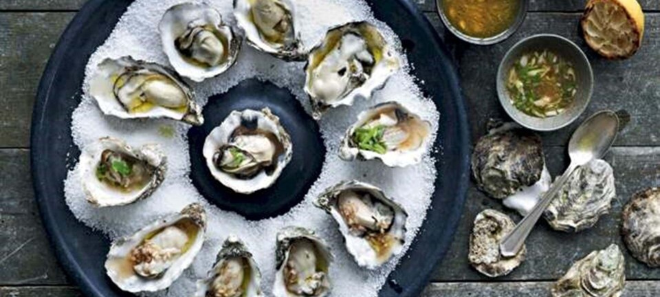Sådan laver du grillede østers