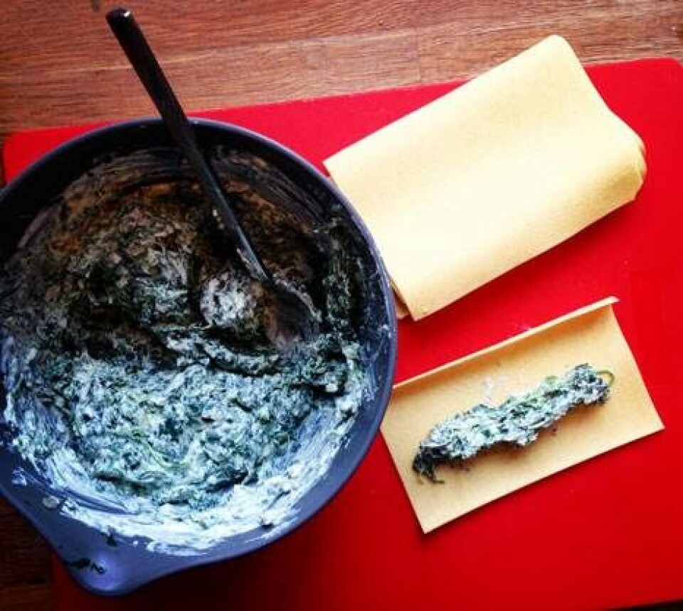 Cannelloni med spinat og ricotta