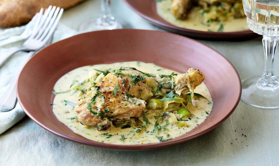 Der er meget sennep i denne franske gryderet, men bare rolig, den stærke smag forsvinder, når senneppen opvarmes, så du i stedet får den cremede og fyldige smag, der passer så godt til kylling! 😍 Vores nye yndlingsret! Mums!