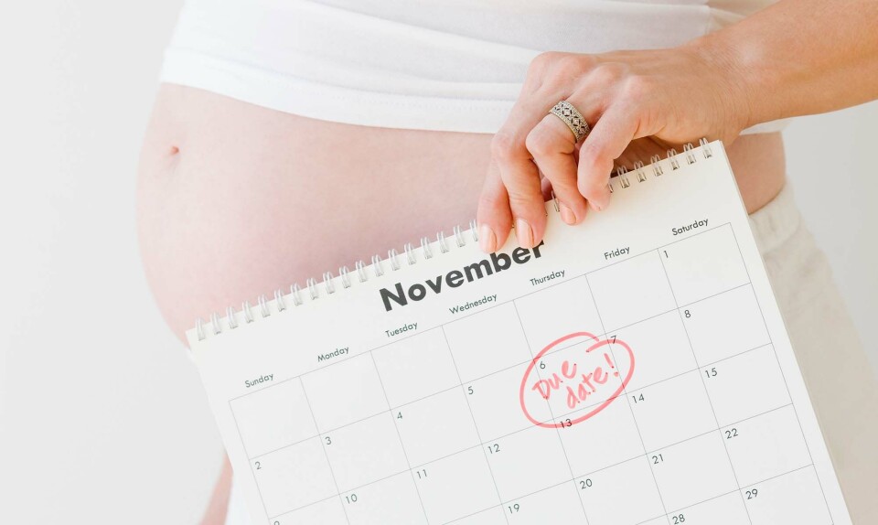 gravid med kalender med terminsberegner