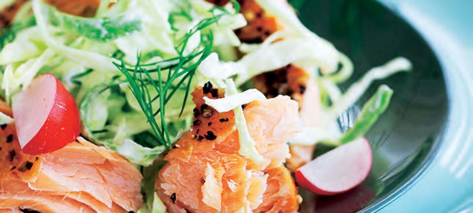 Salat med varmrøget laks, dild og spidskål