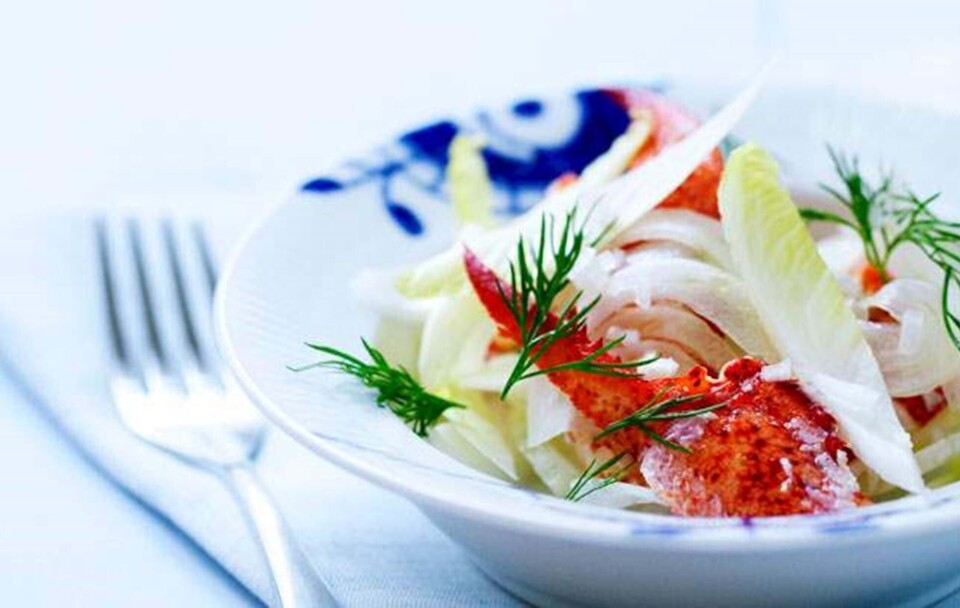 Opskrift på hummersalat med sprødt grønt