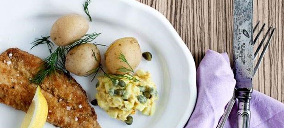 Sprødstegt rødspættefilet med fennikel- kapers-remoulade