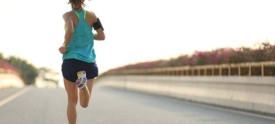 Løbeprogrammer: Sådan bliver du en bedre løber