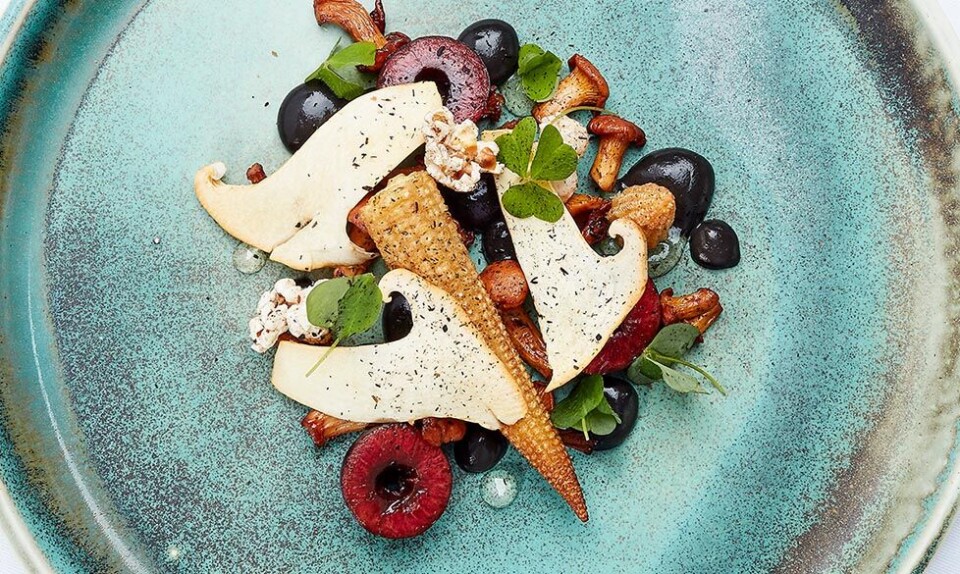 Det samvittighedsfulde alternativ til Dining Week: Populær madfestival vender tilbage