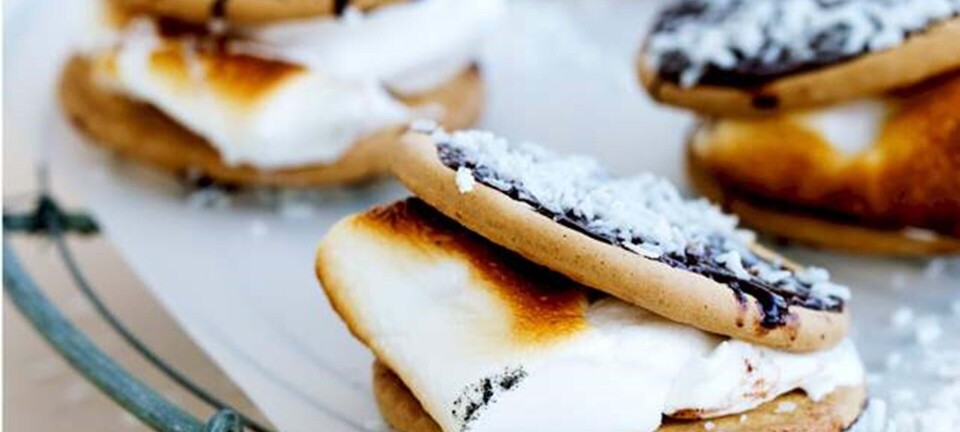 S’mores med kokos og chokolade