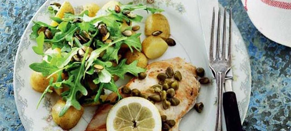 Kyllingeschnitzel med rucola og kartoffelsalat