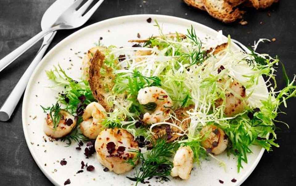 salat med kammuslinger