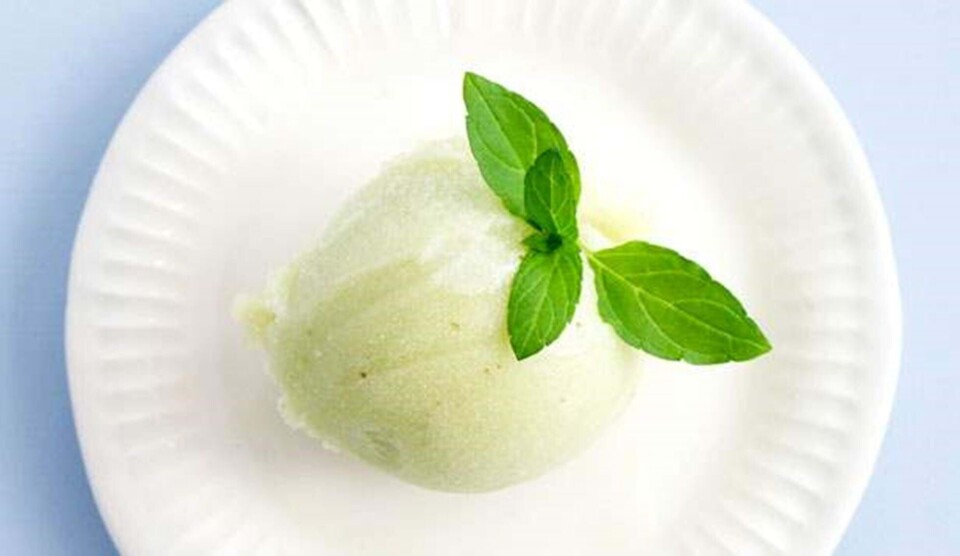 Dessert opskrift med mynte-limesorbet
