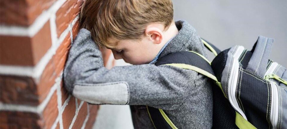 Brevkasse: Læreren vil have, jeg tager en snak med min søn, men hvad skal jeg stille op?