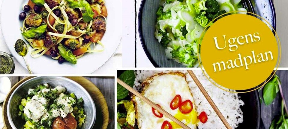 Lækker wokmad, hurtig paella & skøn porretærte med bacon: Her er ugens madplan til dig!