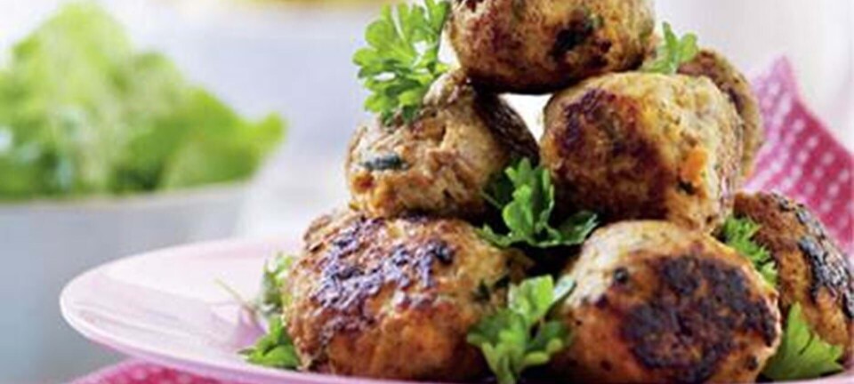 En grundfars - 3 slags kødboller