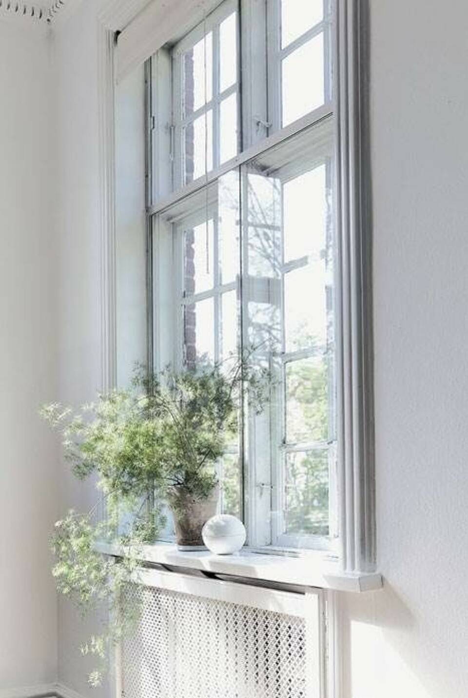 Mig & min bolig: Hanne Berzant, ejer af By Nord Copenhagen