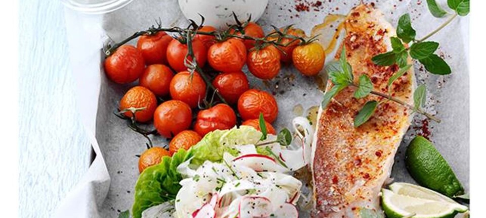 Rødfisk, fennikelsalat & spicy dip
