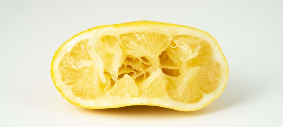 Vi har lært, at vi skal knibe løs, men…