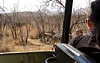 ALT i fantastiske Sydafrika