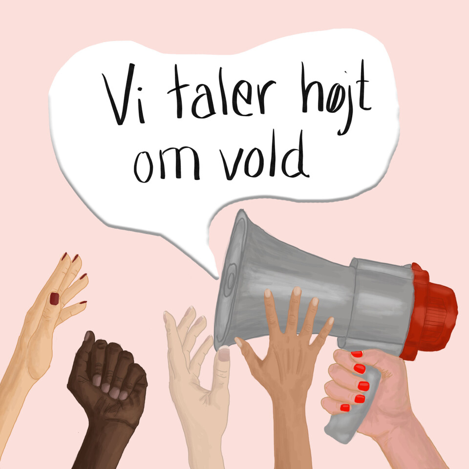 Billede 3 - ”Der var blodsprøjt på vægge, møbler og mit tøj”: Læs 40 kvinders vidnesbyrd om den skjulte vold