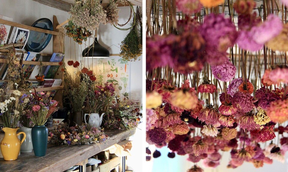 tørrede blomster bolig