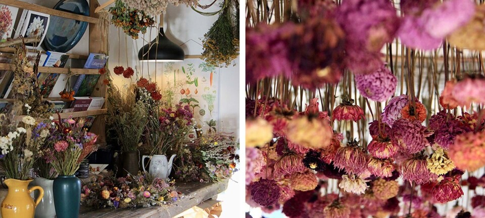 Nanna bor i et sandt blomsterparadis: Bliv inspireret af hendes fantastiske hjem her