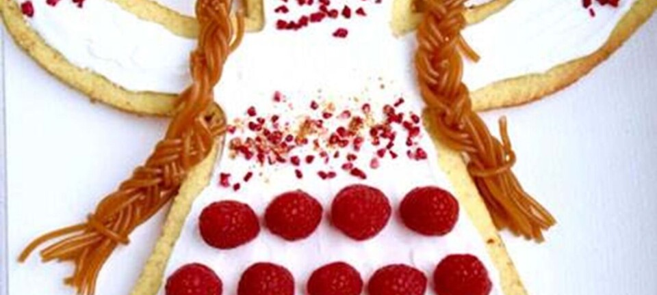 Kagekone af hindbærsnitte