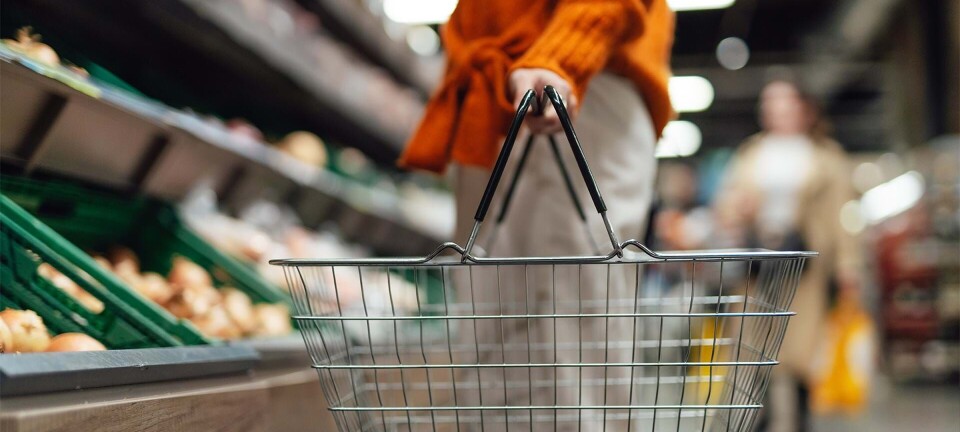 Myndighederne har glemt to ting, mener Andrea: Nu har hun 9 prepping-råd, til når krisen rammer