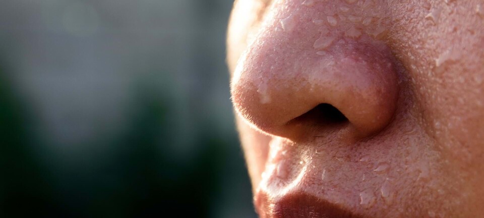 Hvorfor sveder jeg så meget? Her er tips, der kan hjælpe dig