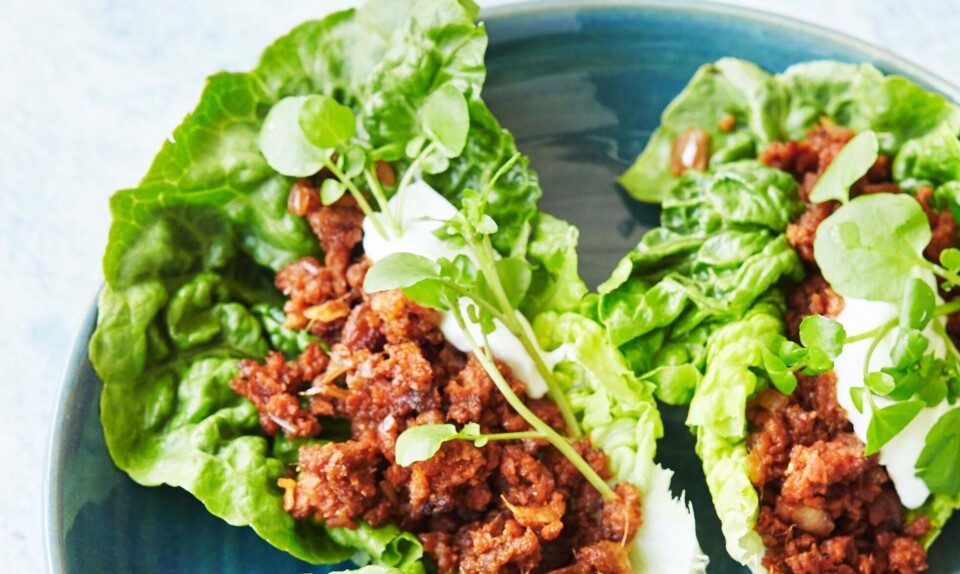Salatsnacks med plantefars