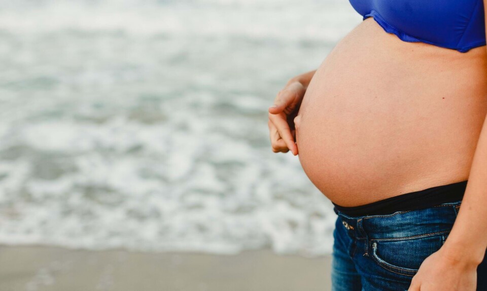 Gravid i uge 42