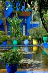 Marrakech: Fra tusind og én nat til super cool city
