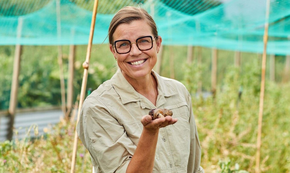 Ditte Ankjærgaard
