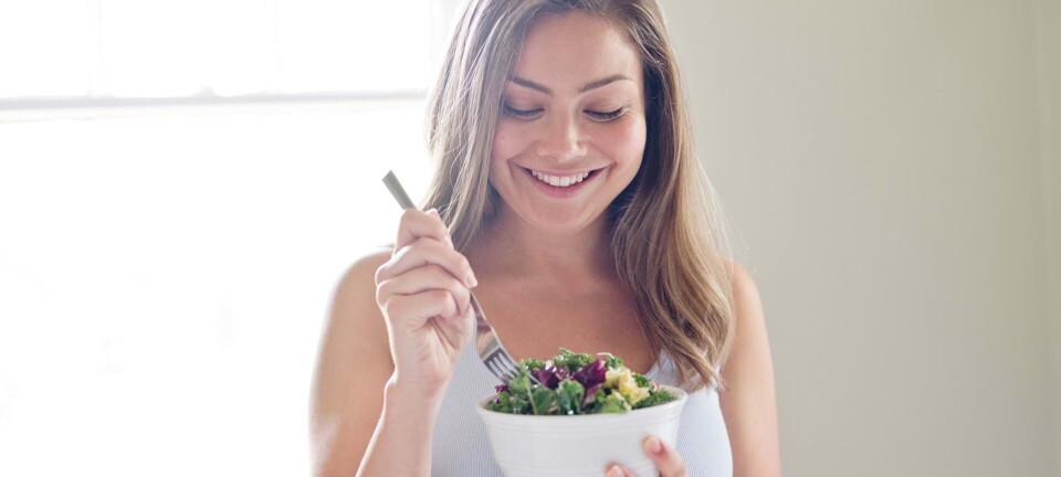 Vil du være vegetar? Sådan erstatter du bedst hakkekødet