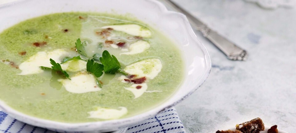 Aspargessuppe med rugbrødscroutoner og bacon
