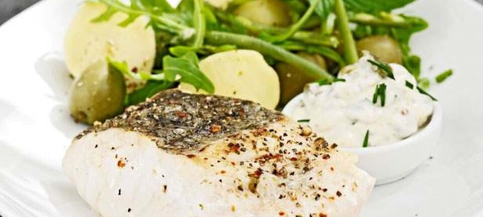 Kulmule med lun salat og tartarsauce