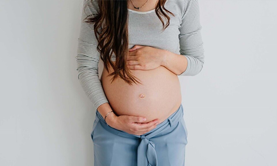 Gravid