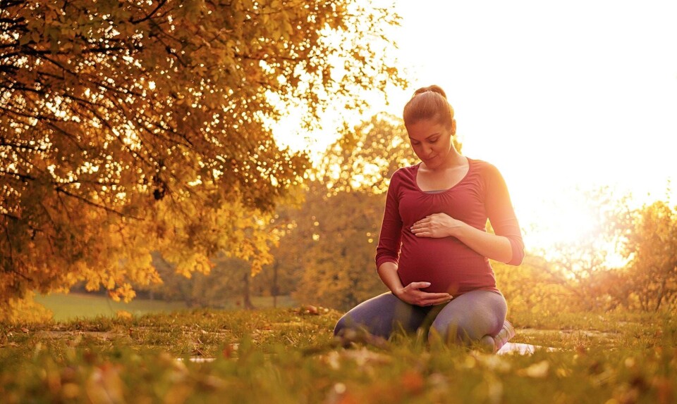 Gravid i uge 27