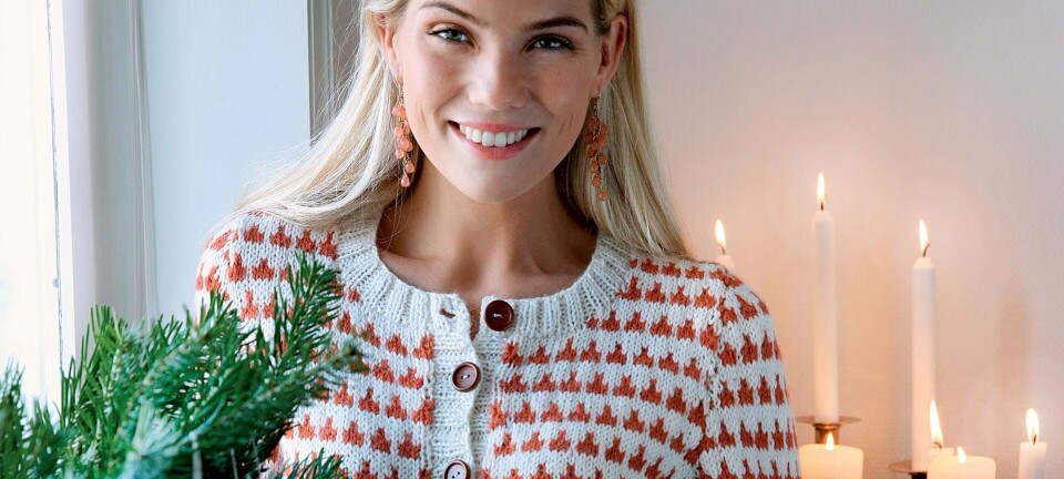 Strik en smuk juletrøje med mønster