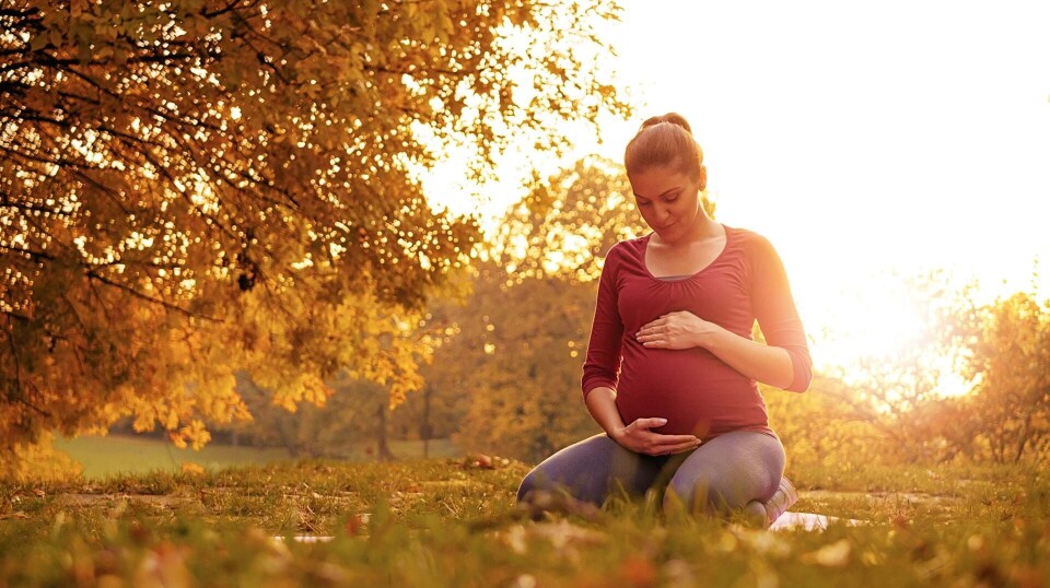 Gravid uge 27: Dit barn kan nu blinke