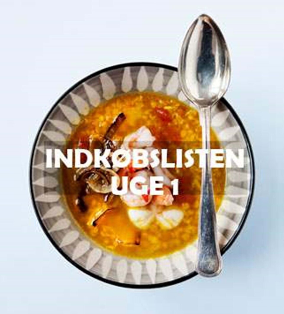 Billede 1 - Nem hverdagsmad: Se indkøbslisten til uge 1